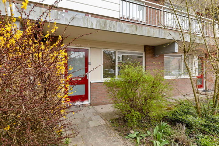 Poolster 140 in Hoorn foto