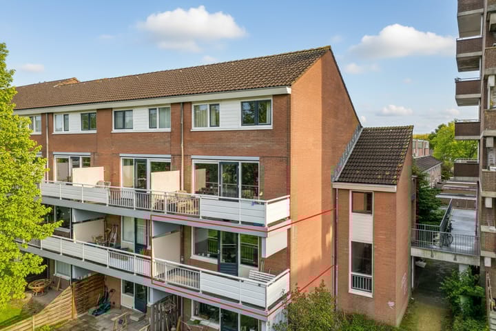 Poolster 155 in Hoorn foto