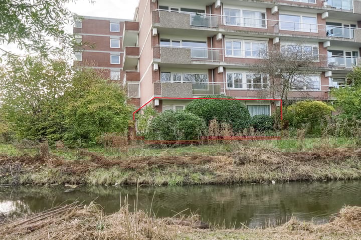 Poolster 203 in Hoorn