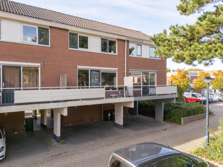 Poolster 24 in Hoorn