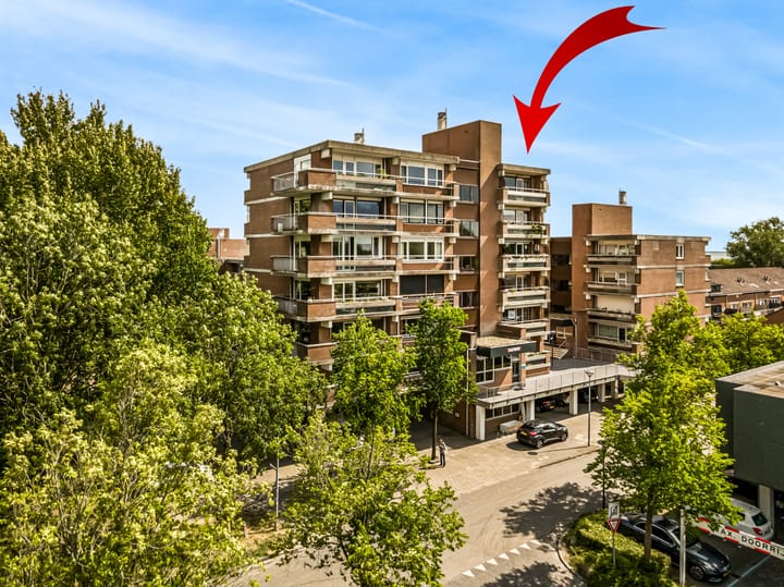 Poolster 254 in Hoorn foto