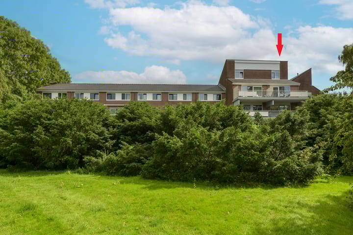 Poolster 74 in Hoorn foto