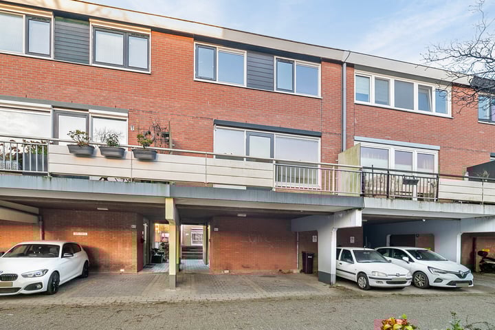 Poolster 82 in Hoorn foto