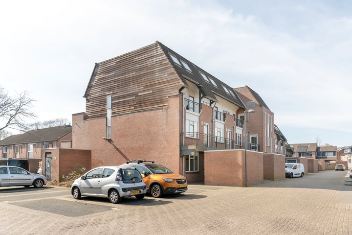 Populier 2 in Heerenveen