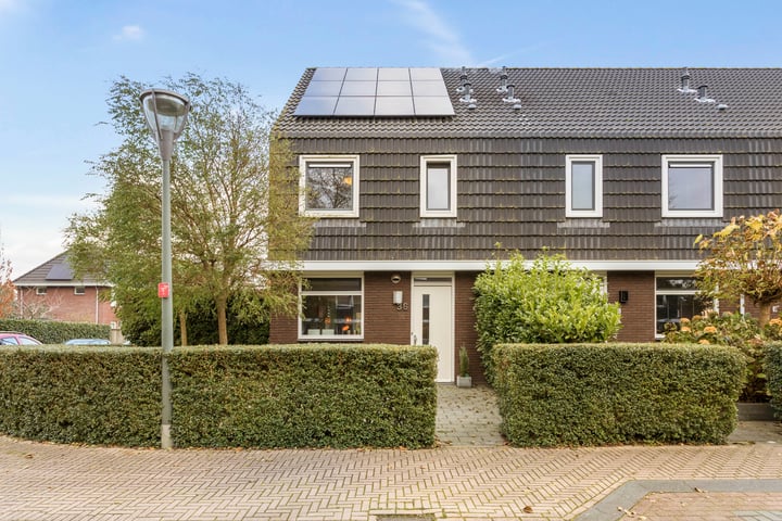 Populier 36 in Leek