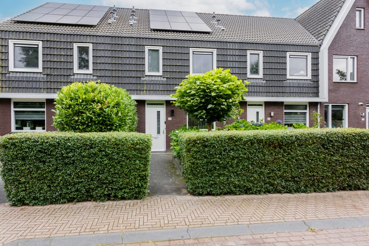 Populier 38 in Leek