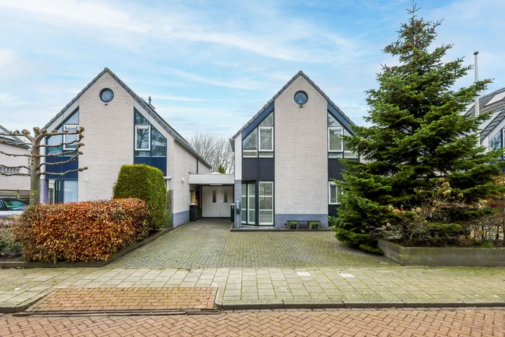 Potvis 4 in Heerhugowaard foto