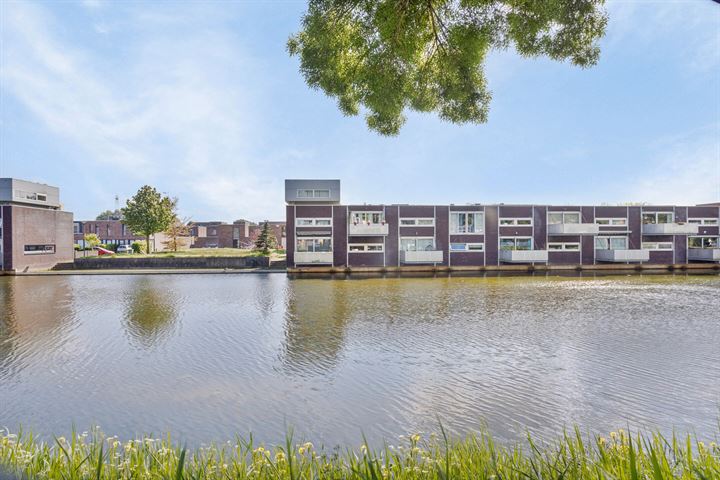 Priemkruid 74 in Breda foto
