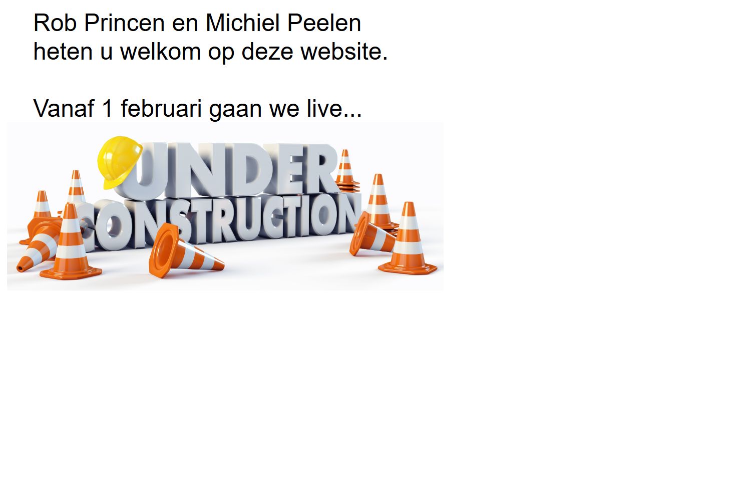 Screenshot van de website van 