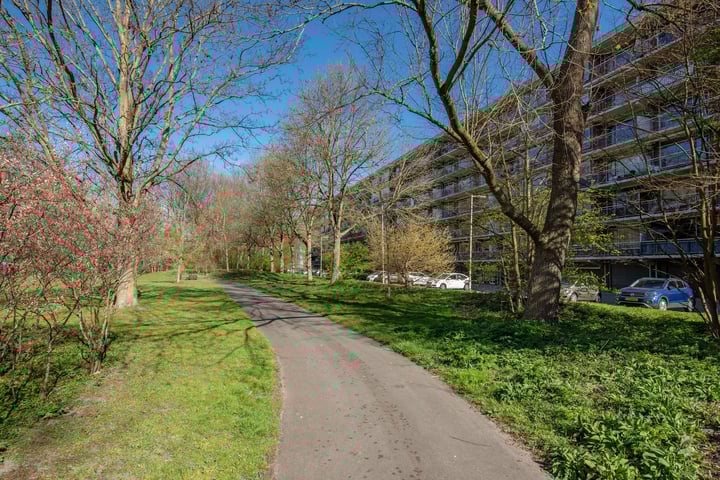 Prins Frederiklaan 432 in Leidschendam foto