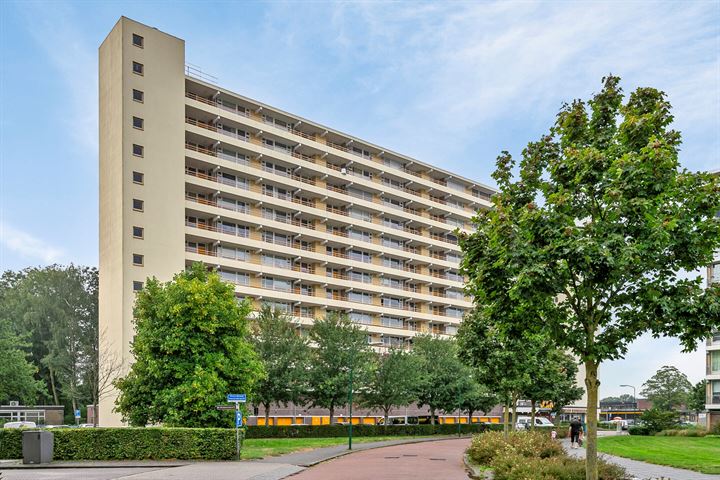 Prins Willem-Alexanderpark 433 in Veenendaal foto