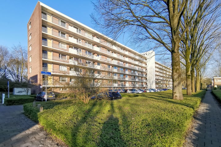 Professor Cobbenhagenlaan 196 in Tilburg foto