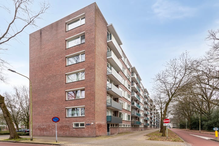 Professor Cobbenhagenlaan 226 in Tilburg foto