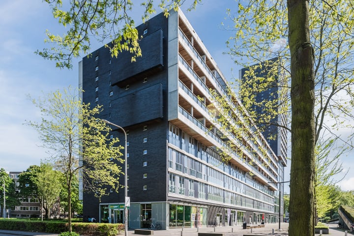 Professor de Moorplein 453 in Tilburg foto