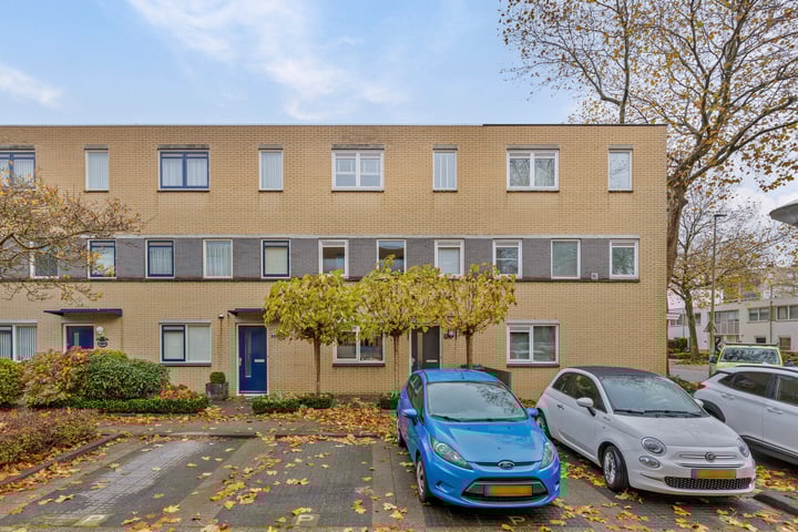 Pruisisch blauw 3 in Zoetermeer foto