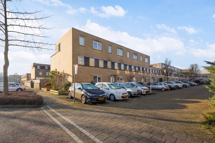 Pruisisch blauw 47 in Zoetermeer foto