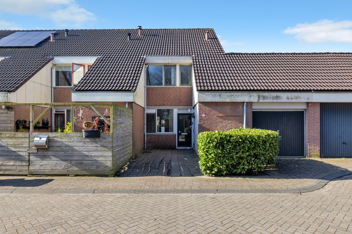Punter 19 73 in Lelystad