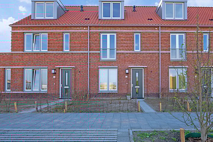 Pyreneeën 69 in Amersfoort foto
