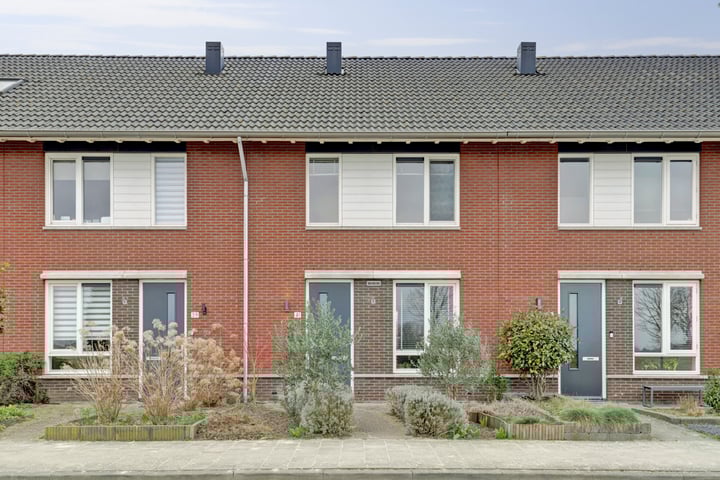 Raai 41 in Hank foto