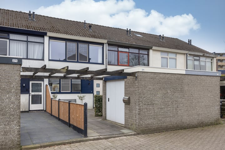 Raaigras 273 in Leeuwarden foto