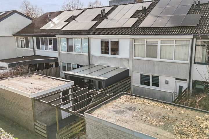 Raaigras 301 in Leeuwarden foto