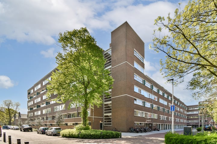 Raaphorst 101 in Leiderdorp foto