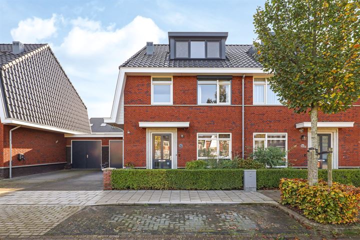 Ram 6 in Elst foto