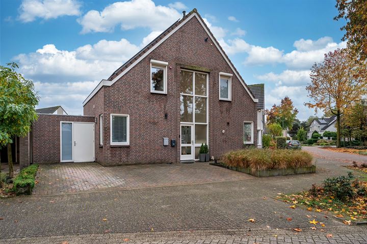 Ranonkel 17 in Venray foto