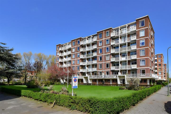 Ranonkelstraat 251 in 's-Gravenhage foto