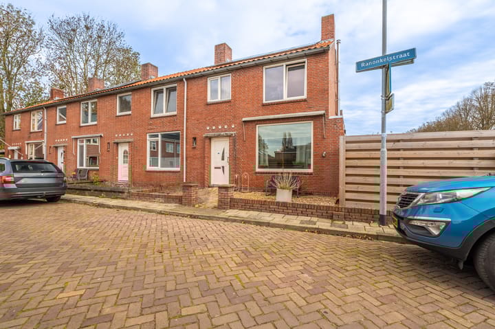 Ranonkelstraat 29 in Sappemeer