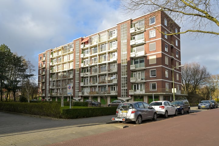 Ranonkelstraat 43 in 's-Gravenhage foto