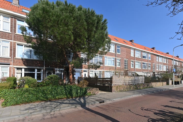 Rederijkerstraat 99 in 's-Gravenhage foto