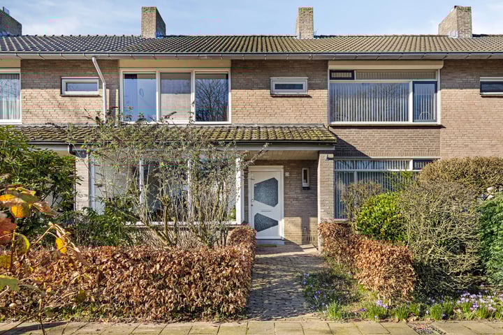 Regulus 20 in Veldhoven foto