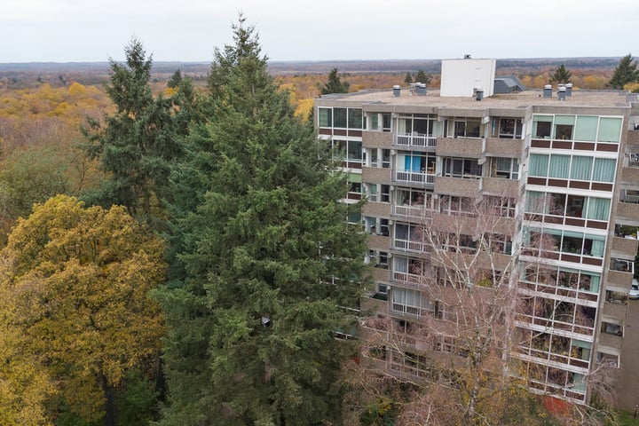 Reigersberg 38 in Doorwerth foto