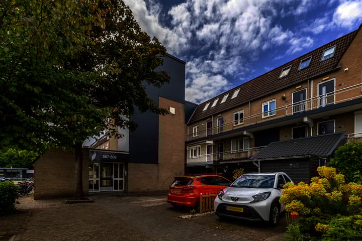 Reigerskamp 567 in Maarssen