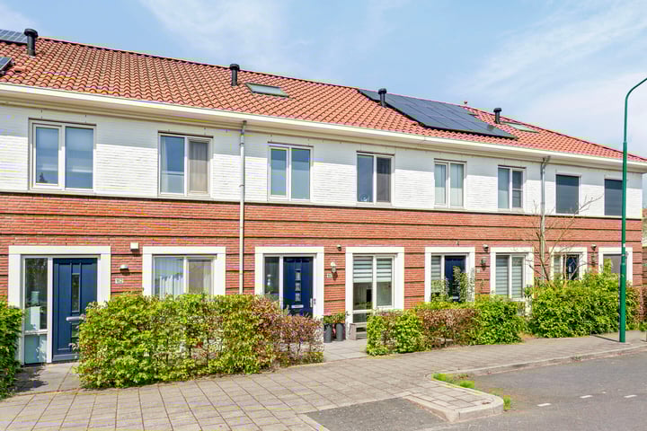 Remus 160 in Wijk bij Duurstede foto