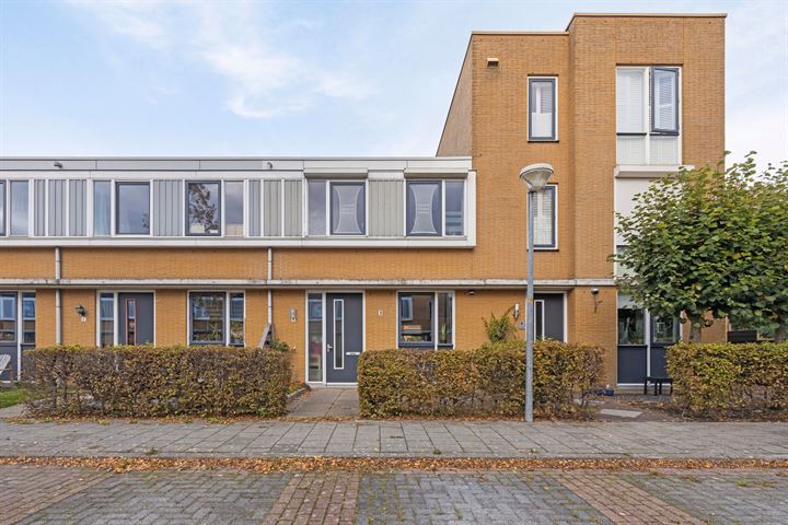 Reukgras 4 in De Goorn foto