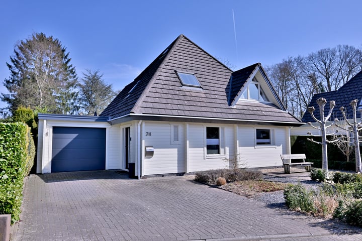 Rhiender Es 24 in Brummen