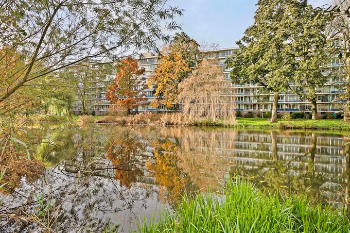Rhodosdreef 134 in Utrecht foto