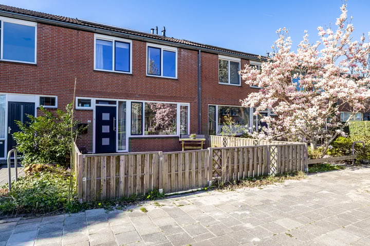 Rhônepad 20 in Assen foto