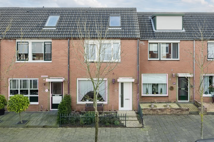 Ridderspoor 16 in Rijnsburg foto