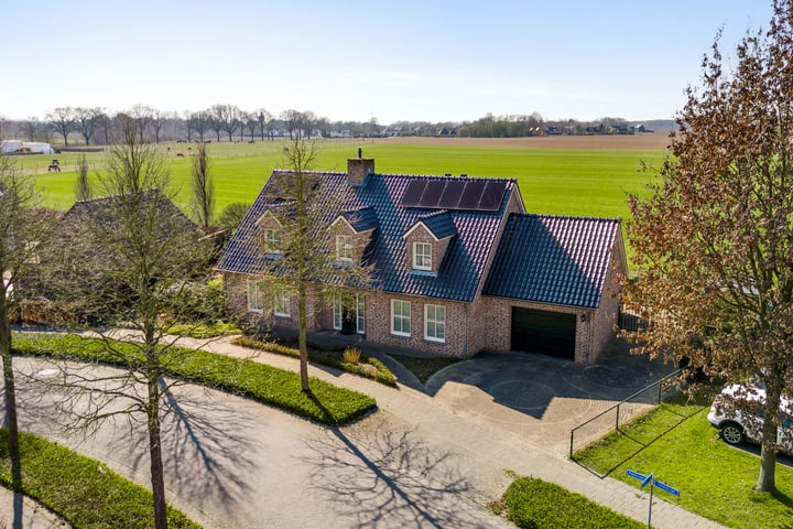 Ridderspoor 25 in Ittervoort foto