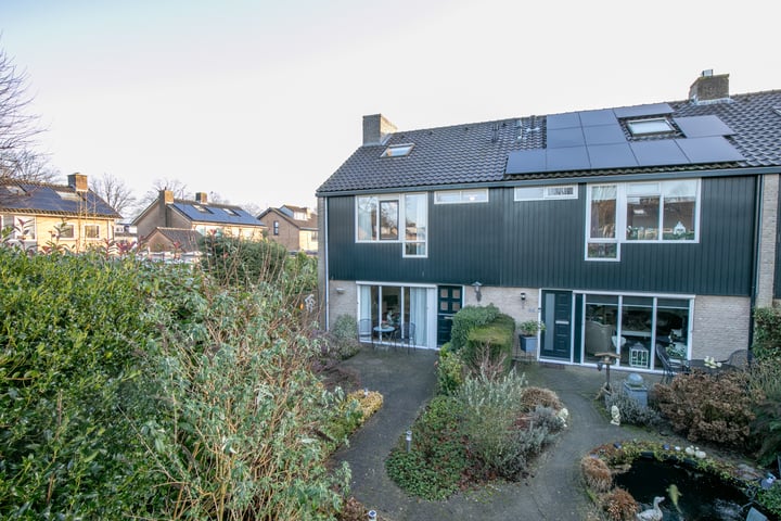 Ridderspoor 33 in Hoevelaken foto