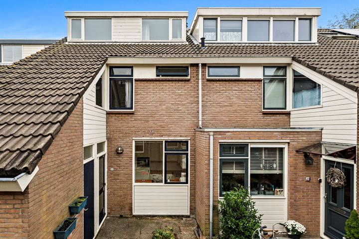 Riemtale 8 in Maasland foto