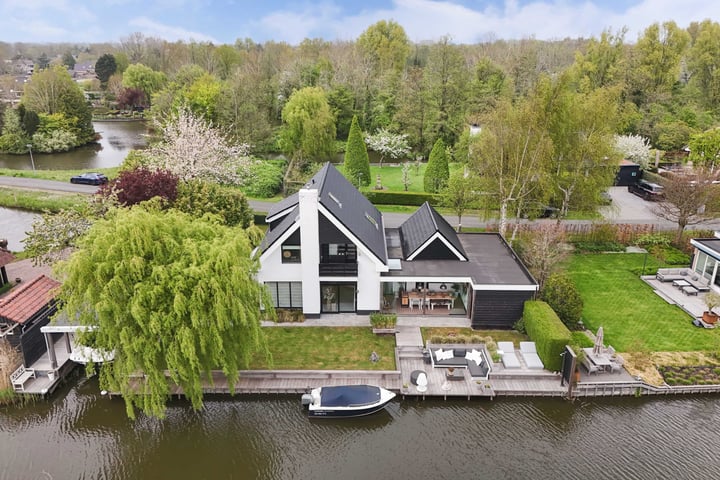Rietgans 2 in Broek op Langedijk foto
