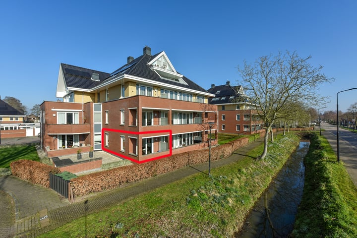 Rietgans 3 in Mijdrecht