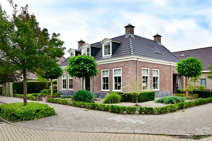 Rietgans 5a in Nibbixwoud