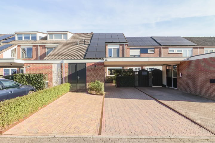 Rietgans 90 in Bunschoten-Spakenburg foto
