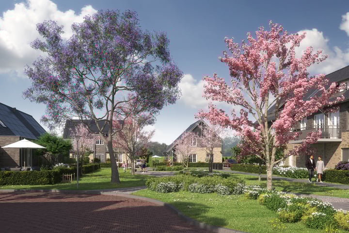 Rietgors 3 in Goudswaard foto