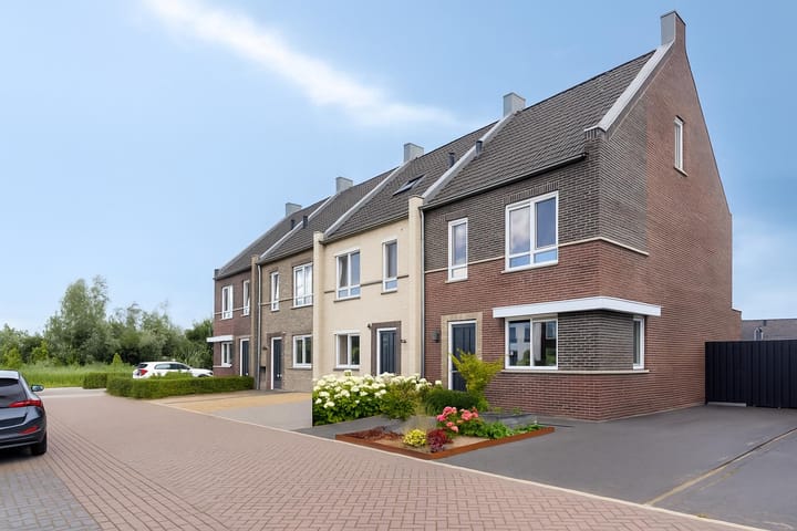 Rietgors 7 in Olst